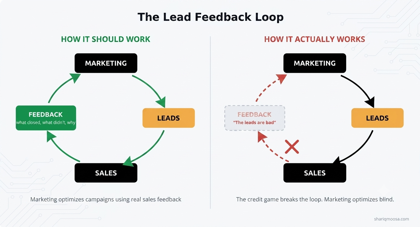 The lead feedback loop